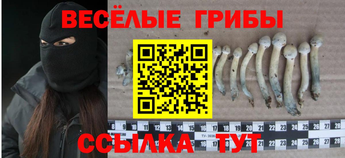 Мончегорск  Галлюциногенные грибы Magic Shrooms  Вход с VPN 