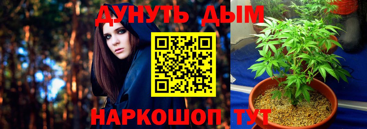 Канабис SATIVA & INDICA  Вход с VPN  Конопля гибрид  МАРИХУАНА AK-47  Мончегорск  Шишки марихуана семена 